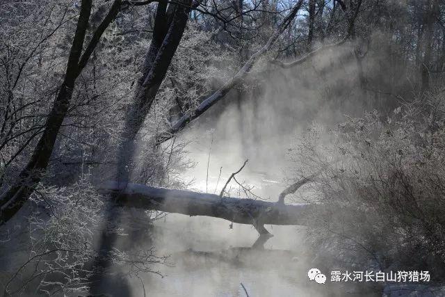 QQ截图与原图有色彩差异吗？游戏画面