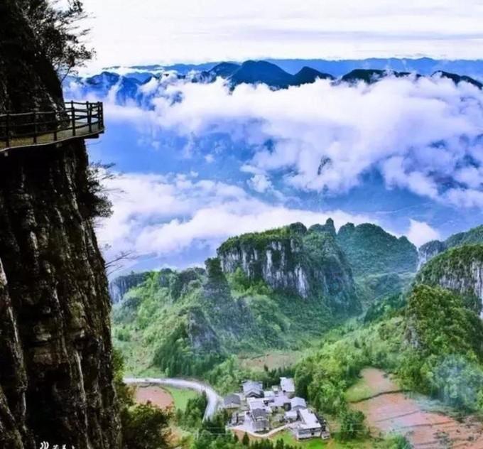 救援白虎