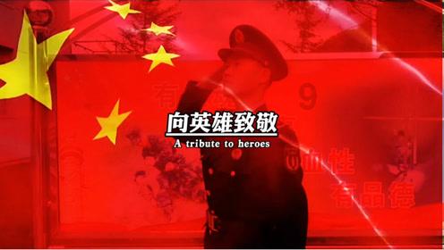 狗狗物品记忆卡