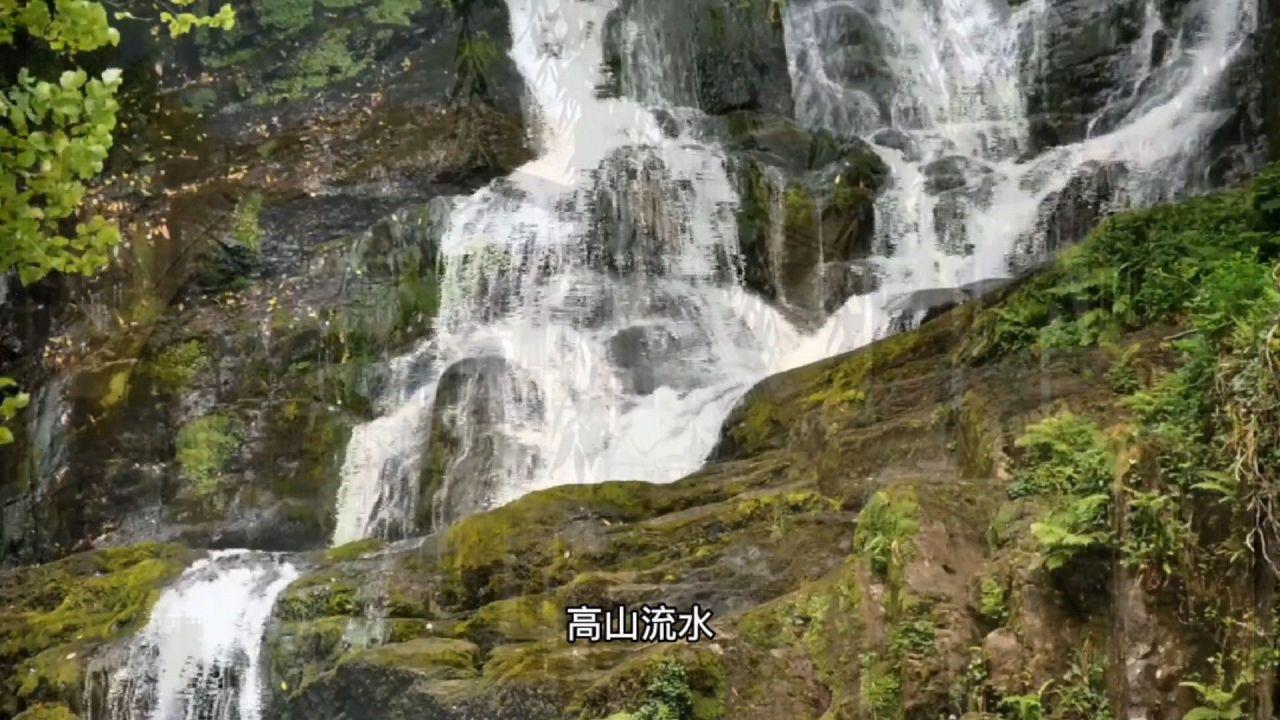 龙年春节欢乐不打烊,上快手看「明星陪你过大年」
