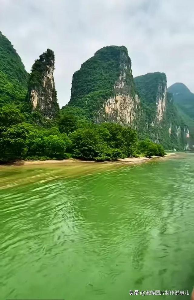 农场出逃大作战4